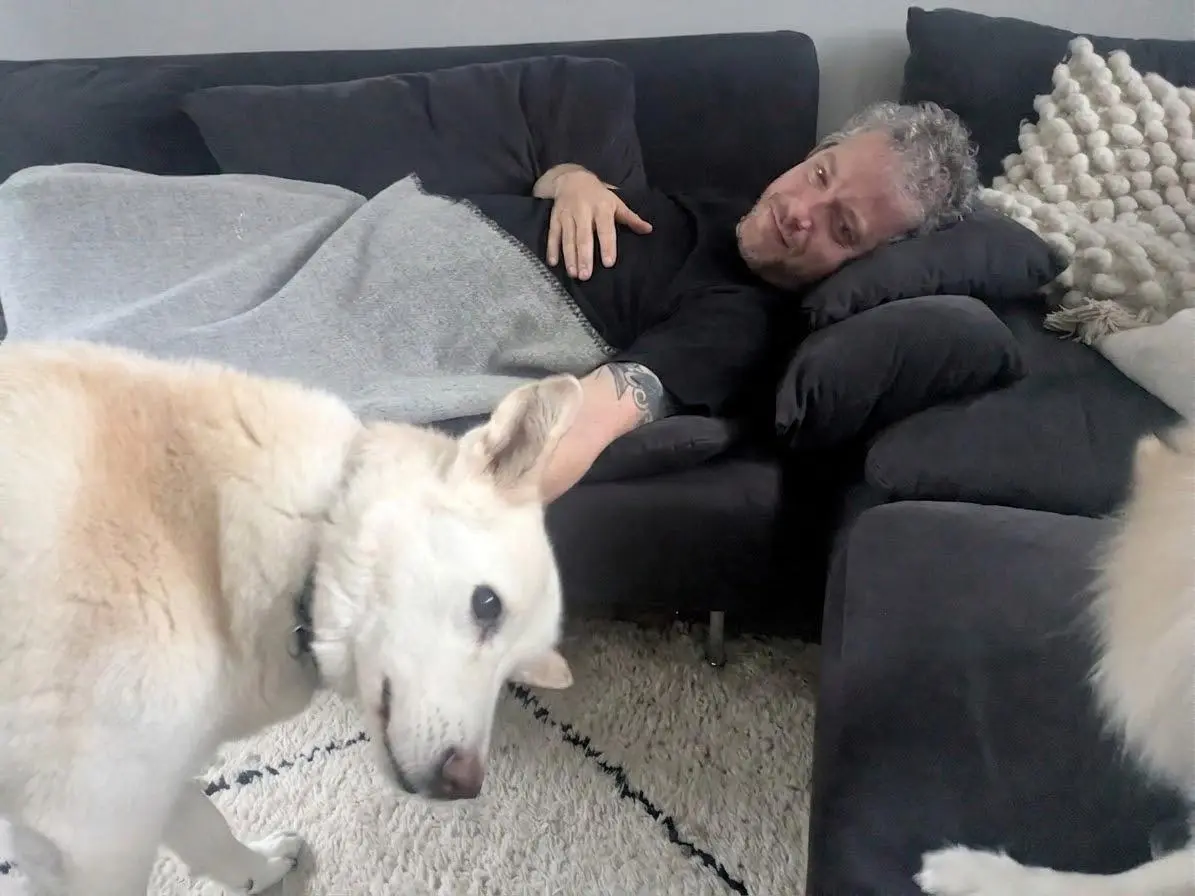 A dog resting comfortably at home