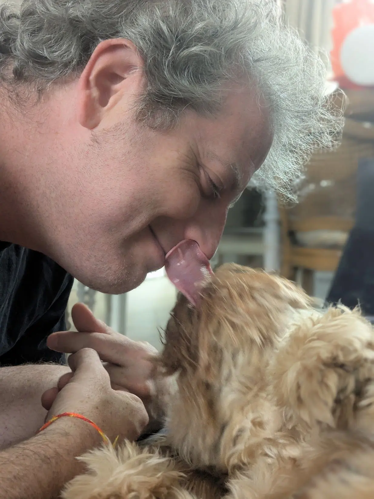 A dog receiving calm, affectionate care